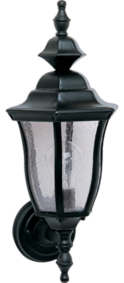 Madrona Cast 1-Light Outdoor Wall Lantern, Black
