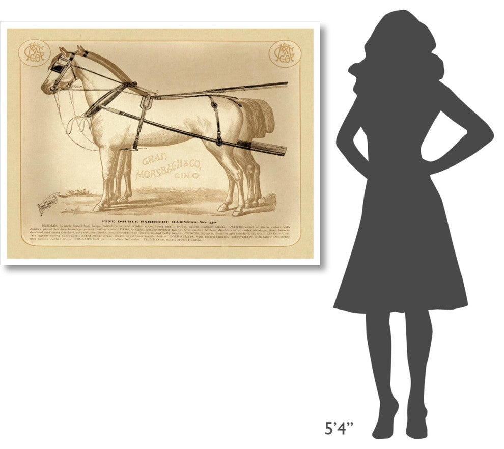 "Saddles and Tack: Fine Double Barouche Harness" Paper Print, 50"x38"