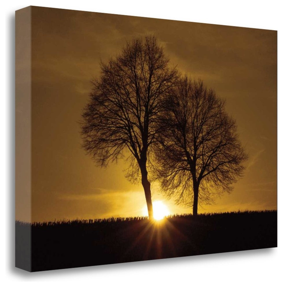 "A New Beginning" By Ily Szilagyi, Giclee Print on Gallery Wrap Canvas