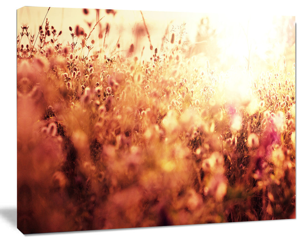 Brown Shade Flowers in Sunshine, Large Flower Canvas Art Print, 20"x12"