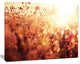 Brown Shade Flowers in Sunshine, Large Flower Canvas Art Print, 20"x12"