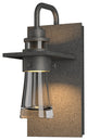 Erlenmeyer Small Outdoor Sconce, Coastal Natural Iron Finish, Clear Glass