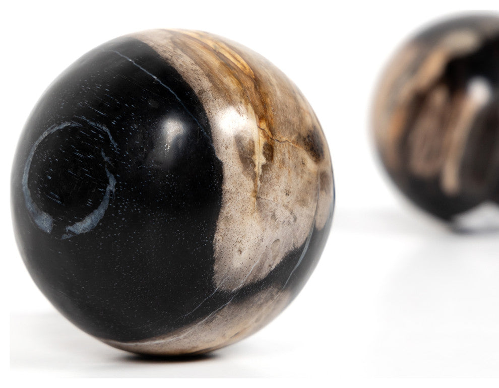 Petrified Wood Balls, Set 3-Dark