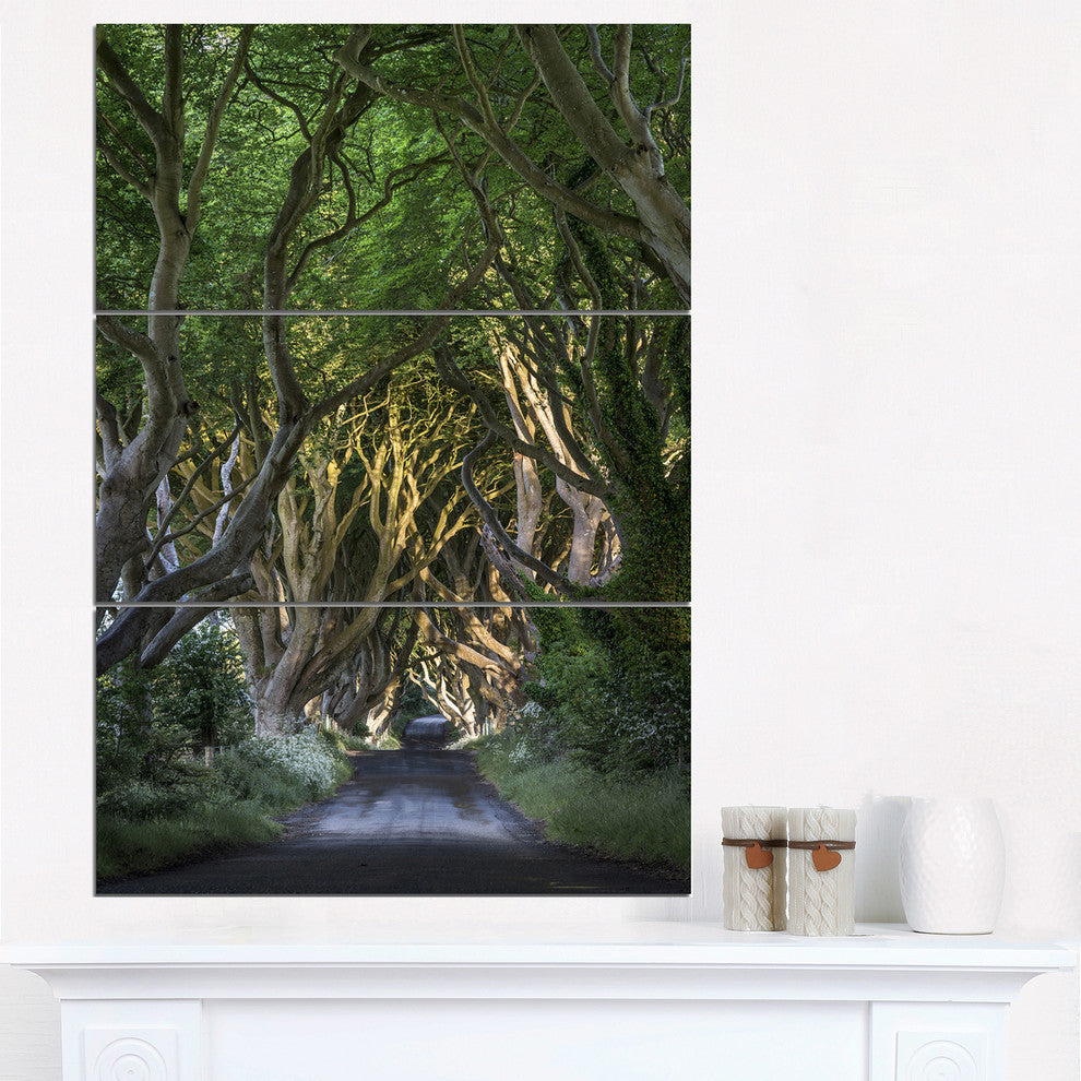 "The Dark Hedges" Photography Metal Wall Art, 3 Panels, 28"x36"