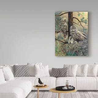 "Great Gray Owl  Family     " by D. Rusty Rust, Canvas Art