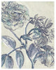 "Belle Fleur I" Digital Paper Print by Sue Schlabach, 24"x30"