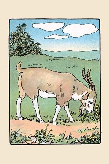 Brother Bill the Billy Goat - Gallery Wrapped Canvas Art 28" x 42"