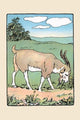 Brother Bill the Billy Goat - Gallery Wrapped Canvas Art 28" x 42"
