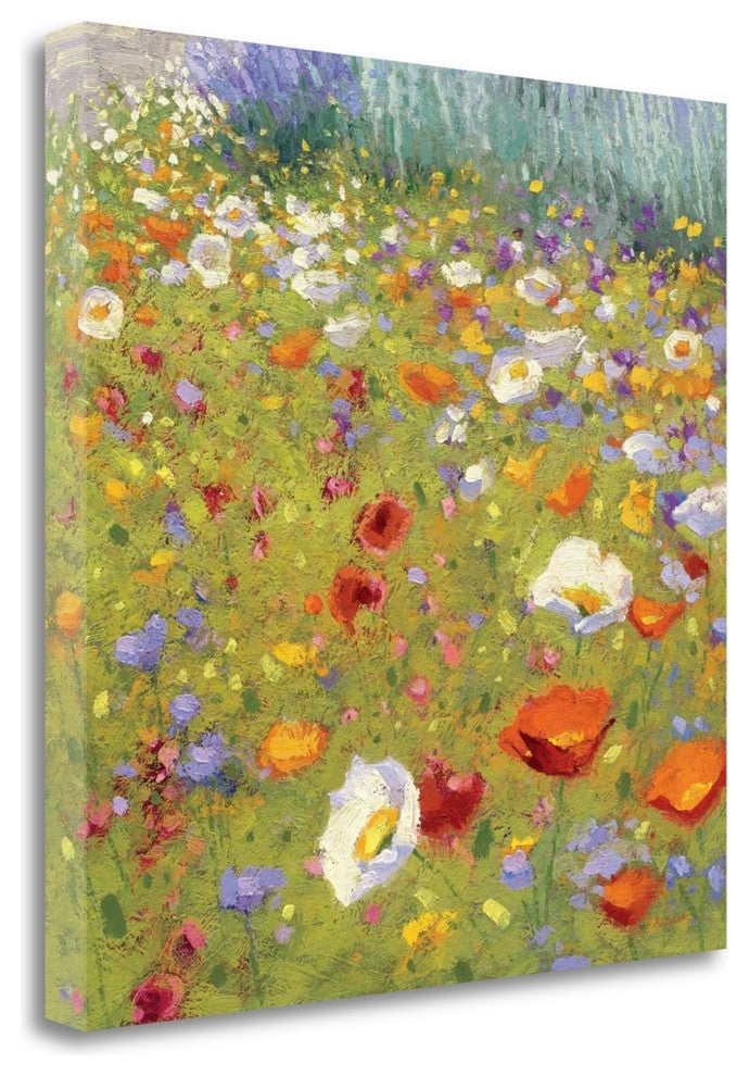 "Champ De Fleur II" By Shirley Novak, Giclee Print on Gallery Wrap Canvas