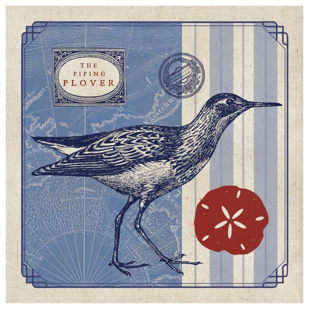 "Sea Bird I" Digital Paper Print by Studio Mousseau, 38"x38"