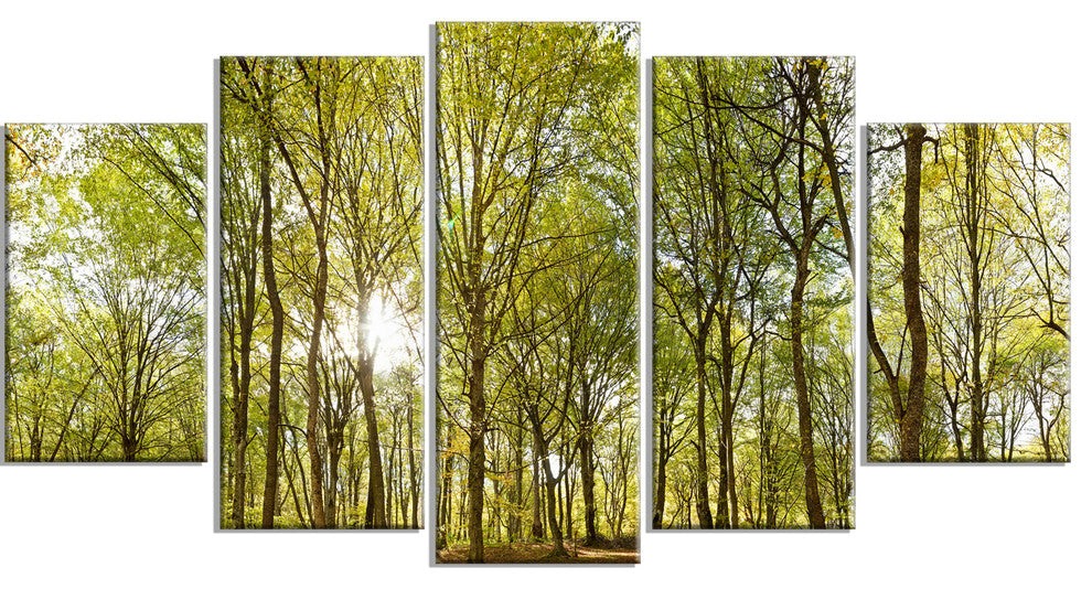 "Green Forest Panoramic View" Canvas Print, 5 Panels