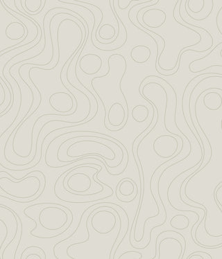 Emily Rayna Beige Lineation Peel and Stick Wallpaper