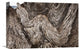 "Folded Limestone Layers, Kaikoura, North Canterbury, New Zealand" Artwork