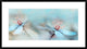 "The Two Of Us" Framed Digital Print by Heidi Westum, 38x21"