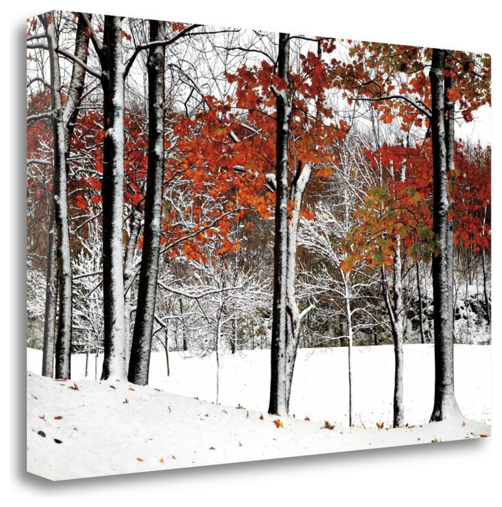 "Snowfall" By Burney Lieberman , Giclee Print on Gallery Wrap Canvas