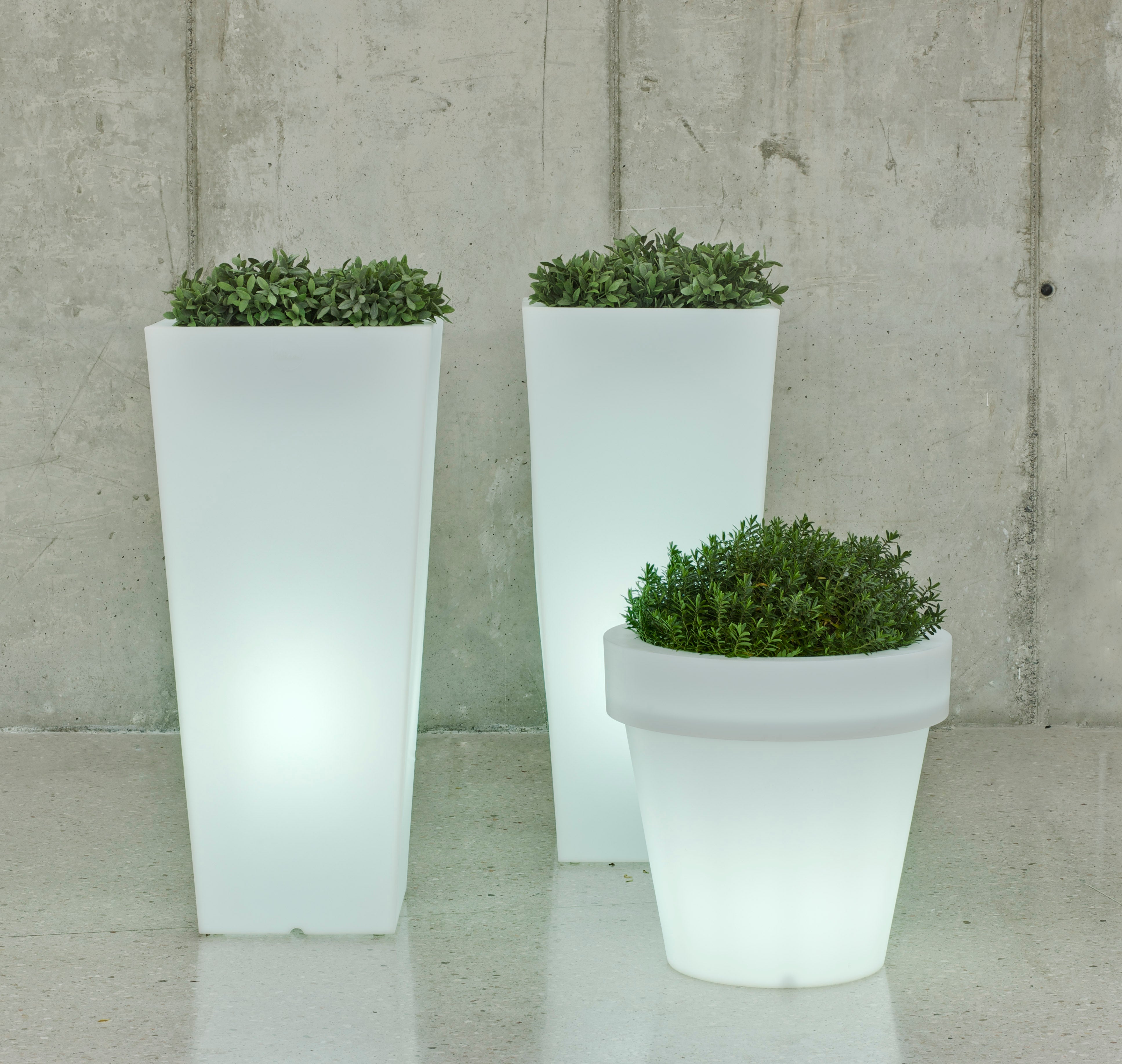 Artkalia Aix Squara LED Wired Planter, Extra-Large