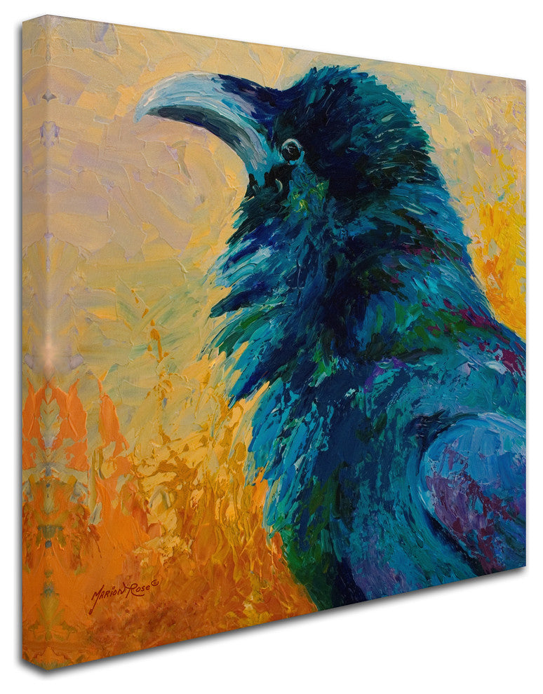 Marion Rose 'Crow Study' Canvas Art, 35 x 35