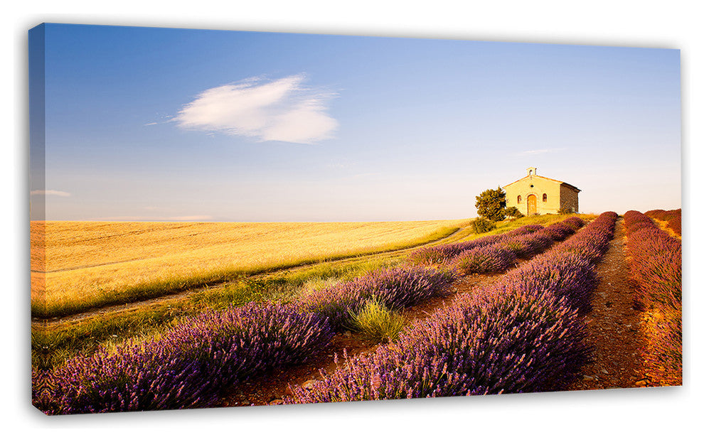 Grain Fields with Lavender Rows, Landscape Canvas Wall Art, 32"x16"