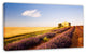 Grain Fields with Lavender Rows, Landscape Canvas Wall Art, 32"x16"