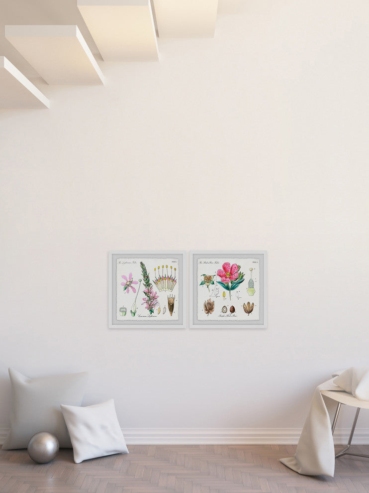 "Growing Pink Diptych" Framed Prints, 18"x18", 2-Piece Set