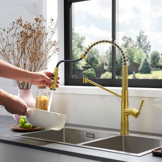 Nette Single-Handle Kitchen Faucet With Pull Down Sprayer, Brushed Gold