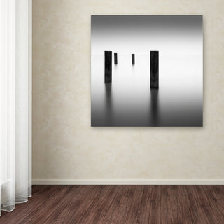'Lucid' Canvas Art by Dave MacVicar