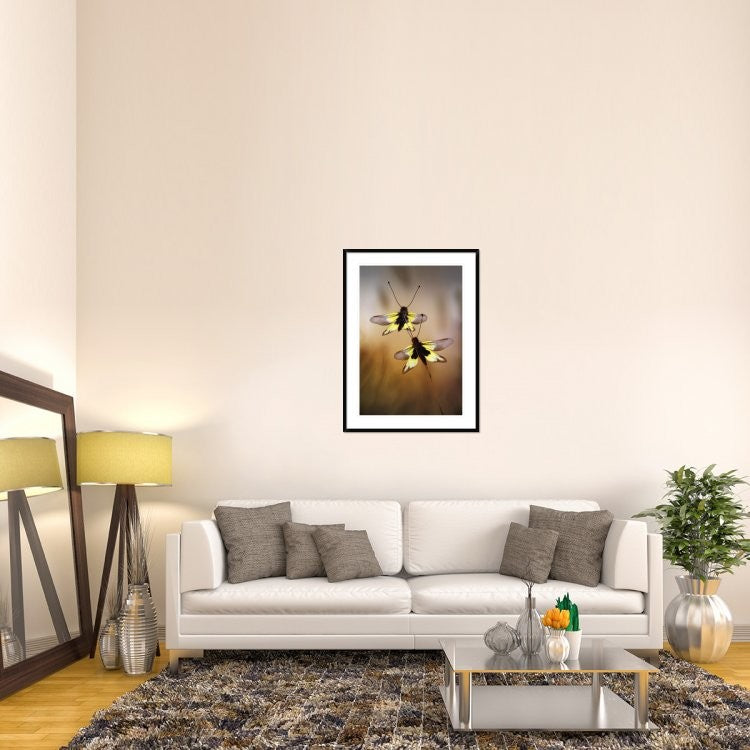 "Owlflies" Framed Digital Print by Jimmy Hoffman, 32x44"