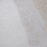 Matter Canvas Bone Green Porcelain Floor and Wall Tile