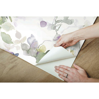 Garden Anemone Peel and Stick Wallpaper