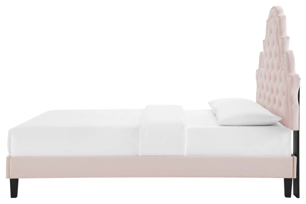 Tufted Platform Bed Frame, King Size, Velvet, Pink, Modern Contemporary, Bedroom