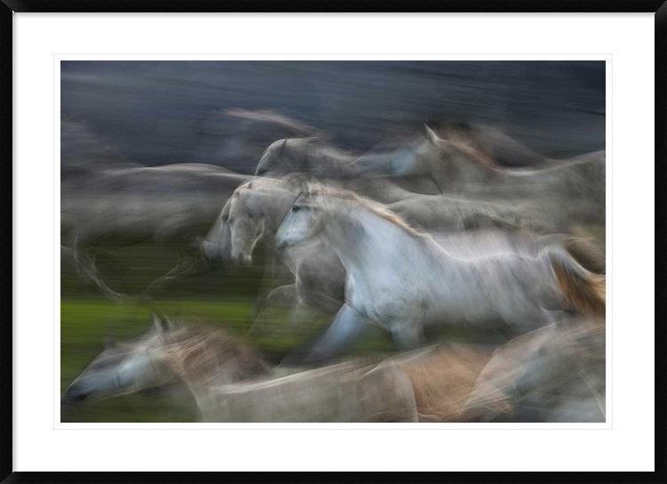 "Stampedo" Framed Digital Print by Milan Malovrh, 44x32"