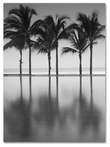 Moises Levy '48 St' Canvas Art, 24 x 18