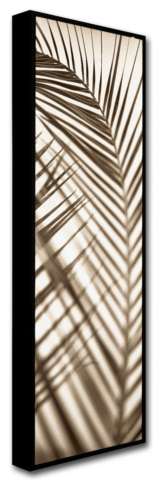 Alan Blaustein ''Florison 72'' Canvas Art, 16x47