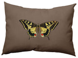 Rare Swallowtail Polyester Indoor Pillow, Ginger Snap Brown, 14"x20"