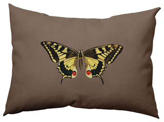 Rare Swallowtail Polyester Indoor Pillow, Ginger Snap Brown, 14"x20"