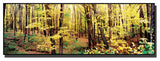 'Trees' Canvas Art by Preston