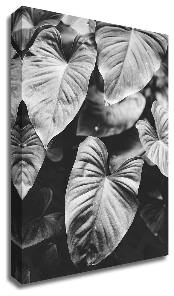 Leaves of Grey by Design Fabrikken, Print on Canvas, 25"x35"