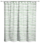 Painted Stripes Green 1 71x74 Shower Curtain