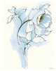 "Carols Roses III Blue" Digital Paper Print by Shirley Novak, 30"x37"