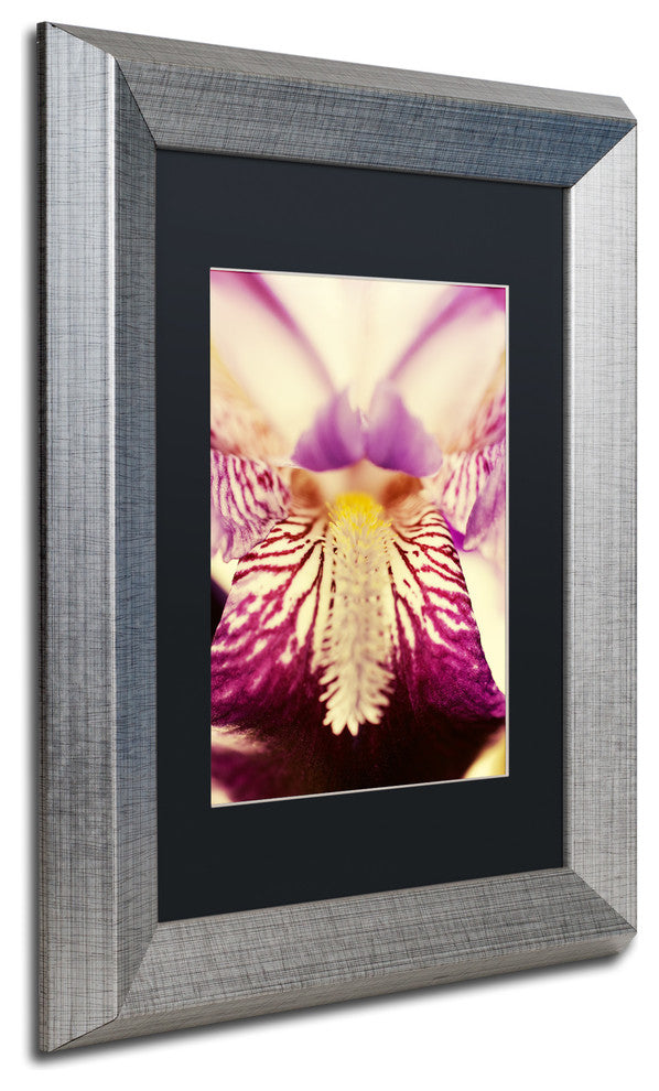 PIPA Fine Art 'Antiqued Iris' Matted Framed Art, 14x11