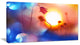 Beautiful Blurred Flowers At Sunset, Floral Canvas Art Print, 32"x16"