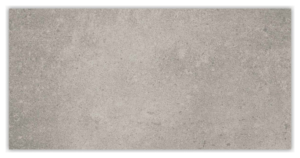 Ark Silver Matte 12x24 Porcelain Tile