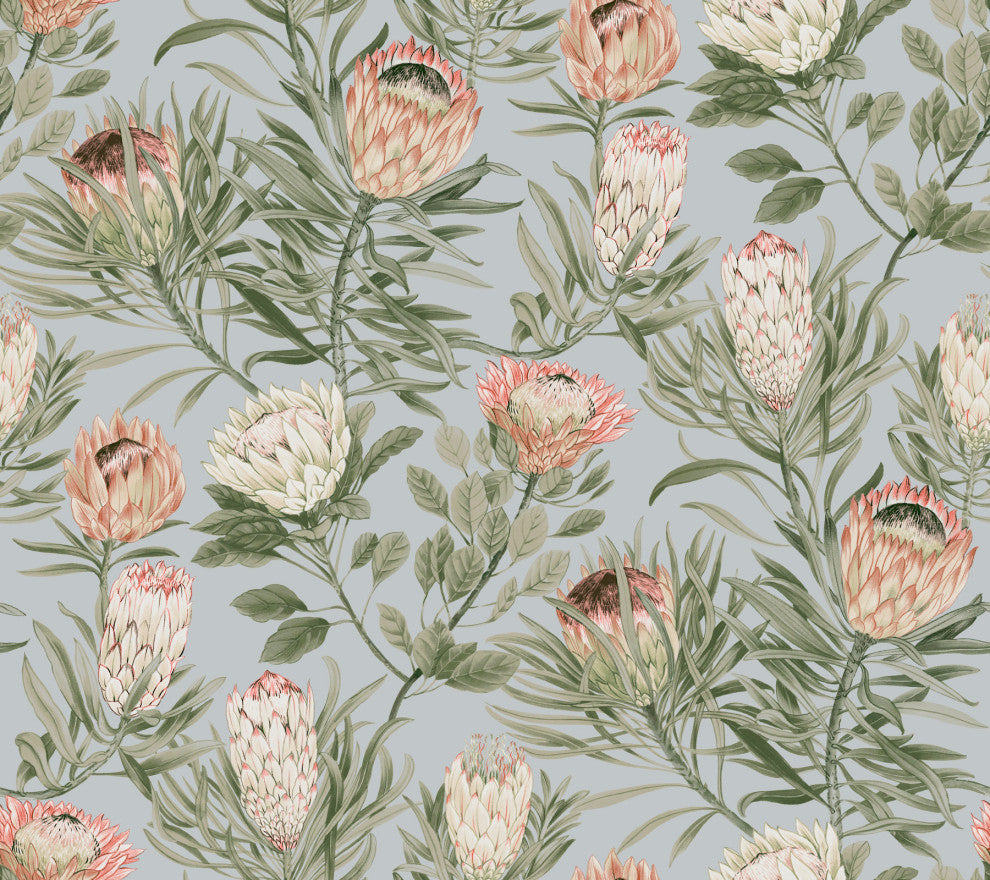 Protea Wallpaper