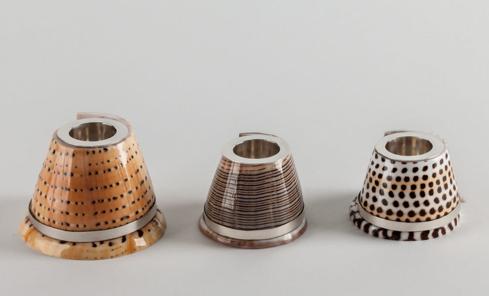 Littered Cone Shell Candle Holder with Sterling Silver