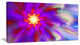 Beautiful Purple Flower Petals, Floral Canvas Art Print, 40x20