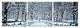 HomeRoots 24" Multicolor Canvas 3 Horizontal Panels Winter Trees Photo