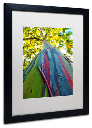 CATeyes 'Rainbow Eucalyptus Tree', Black Frame, White Mat, 20x16