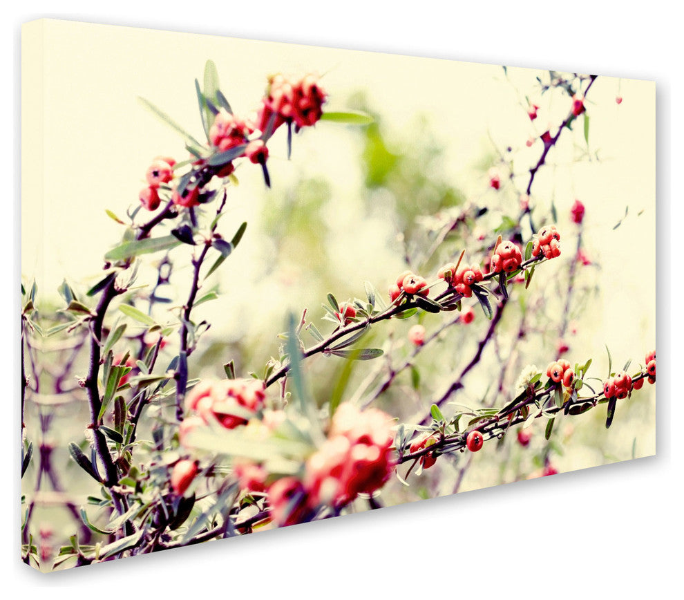 'Summer Melody' Canvas Art by Beata Czyzowska Young