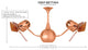 Vent Bettina Rotational Ceiling Fan With Mahogany Blades, Polished Chrome