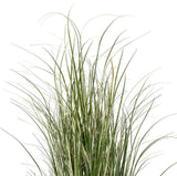 Vickerman Grass In Iron Pot, Unlit, 48"